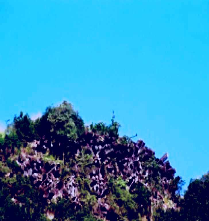 SubjectCoach | Mount Scoria Conservation Park