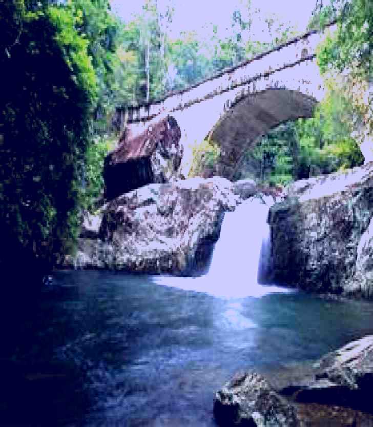 SubjectCoach | Mount Spec, Paluma Range National Park