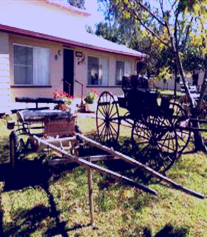 SubjectCoach | Mr and Mrs Behan Sulky Display