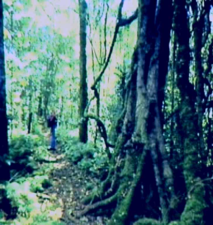 SubjectCoach | Mt Superbus