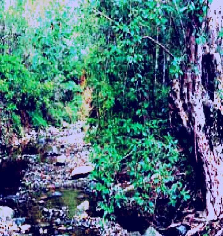 SubjectCoach | Mudlo National Park