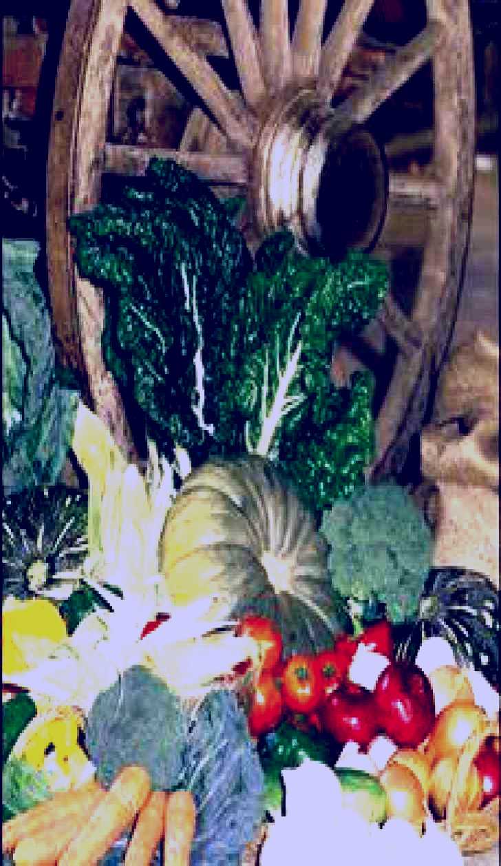 SubjectCoach | Mulgowie Real Farmers Markets