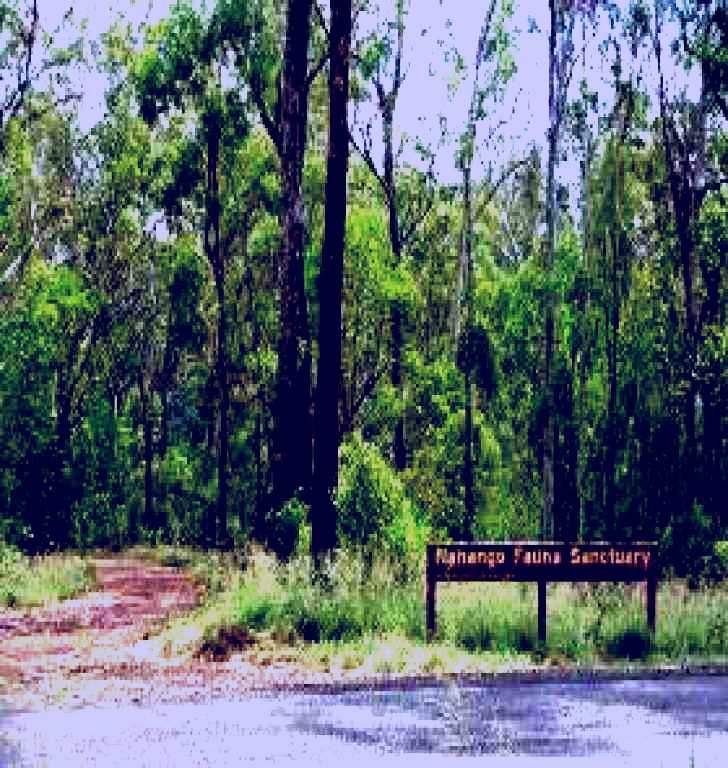 SubjectCoach | Nanango Fauna Reserve