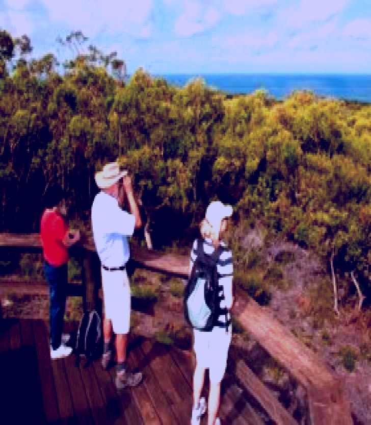 SubjectCoach | Naree Budjong Djara National Park