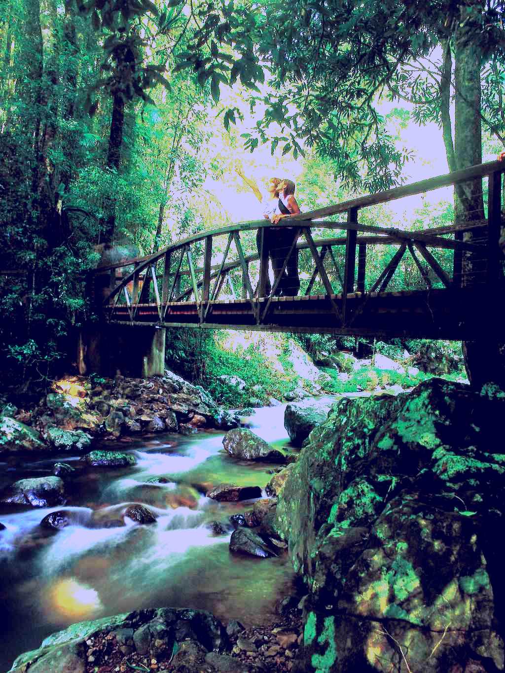SubjectCoach | Natural Bridge, Springbrook National Park