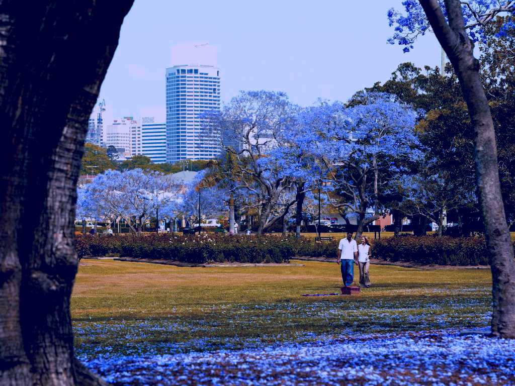 SubjectCoach | New Farm Park