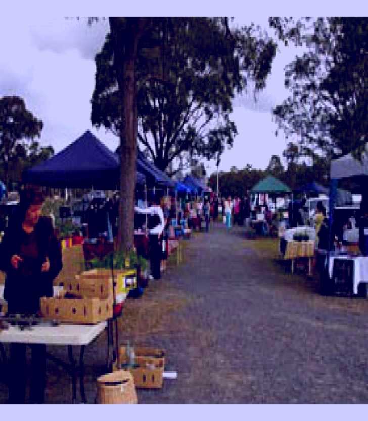 SubjectCoach | Nikenbah Markets