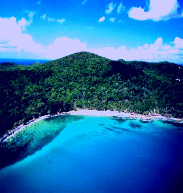 SubjectCoach | Noosa Heads Coastal Track
