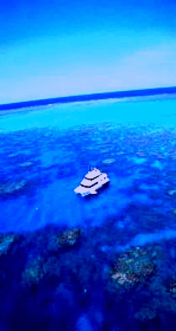 SubjectCoach | Norman Reef Dive Site