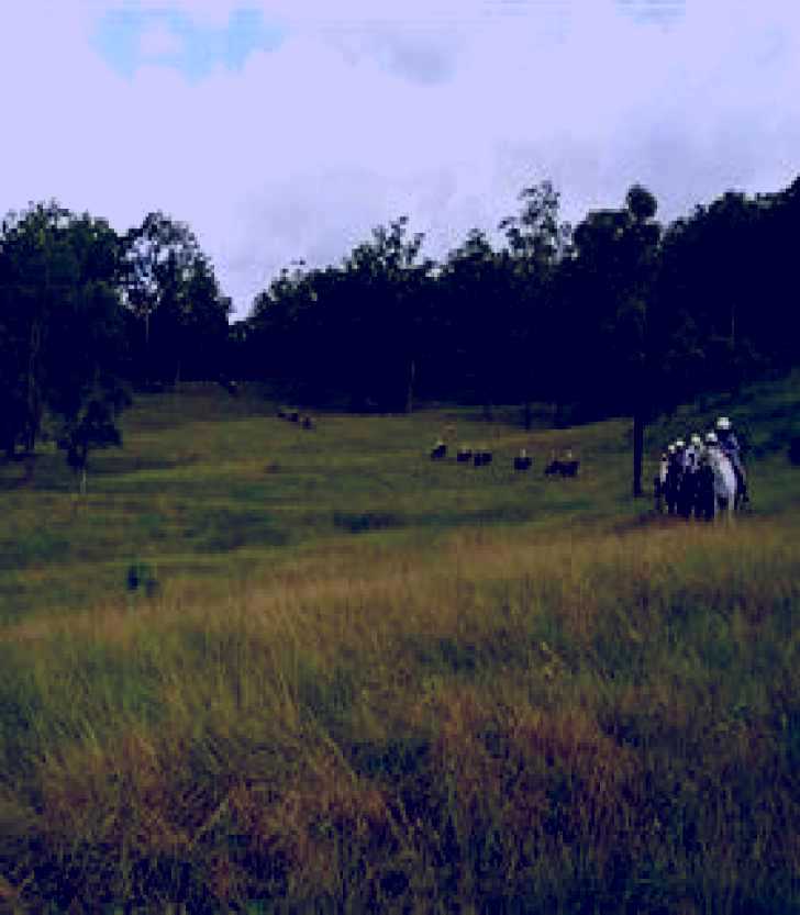 SubjectCoach | Numinbah Valley Adventure Trails
