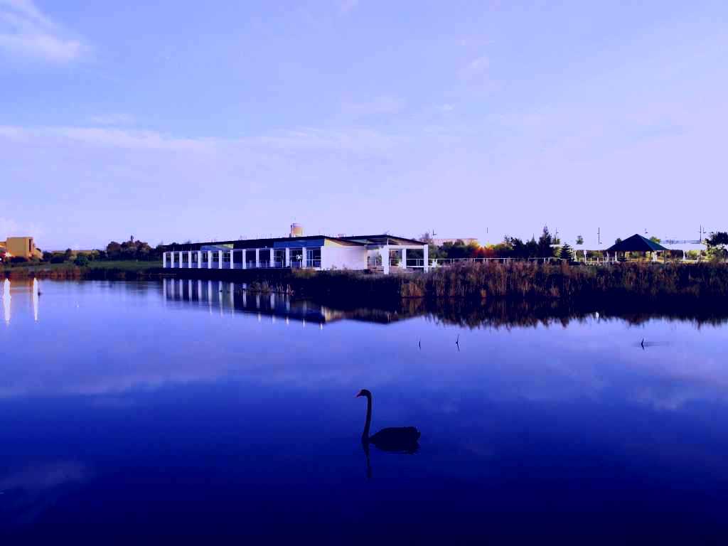 SubjectCoach | Port of Brisbane Visitors Centre