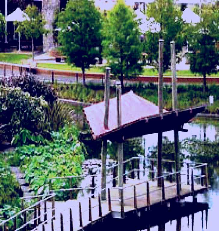 SubjectCoach | Roma Street Parkland