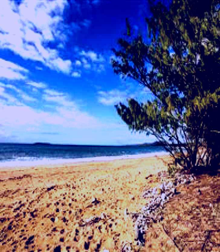 SubjectCoach | Salonika Beach