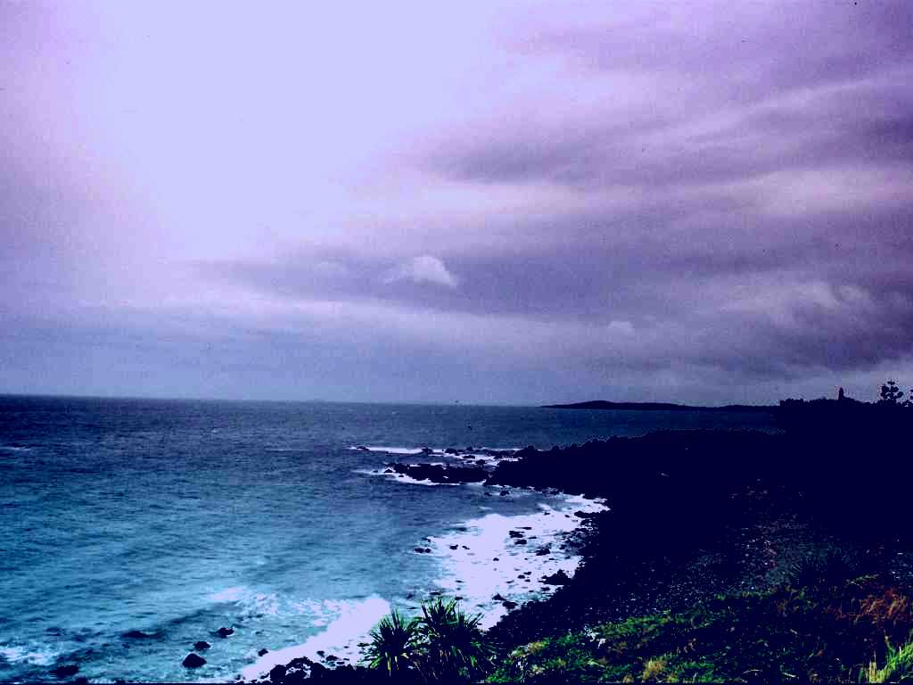 SubjectCoach | Sarina Beach