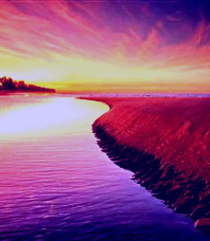 SubjectCoach | Saunders Beach