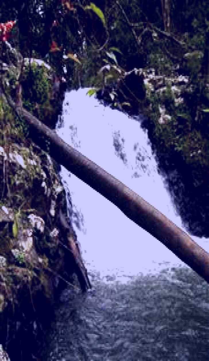 SubjectCoach | Souita Falls