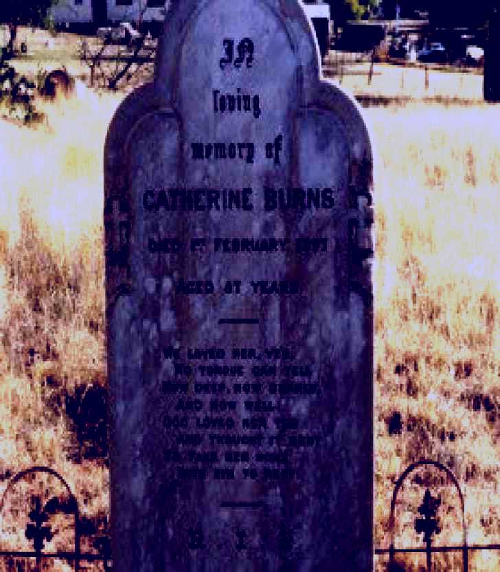 SubjectCoach | St Patrick's Catholic Churchyard Graves