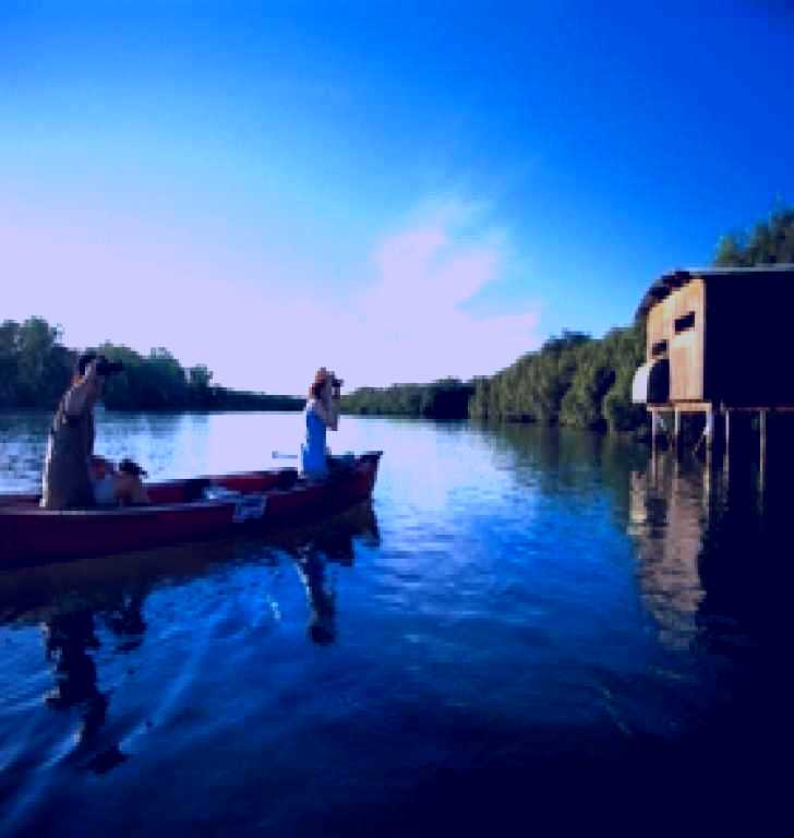 SubjectCoach | Tabbil-ban Dhagun Mangrove Boardwalk (Place of Salt Water)