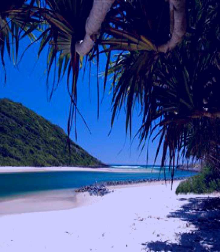 SubjectCoach | Tallebudgera Creek
