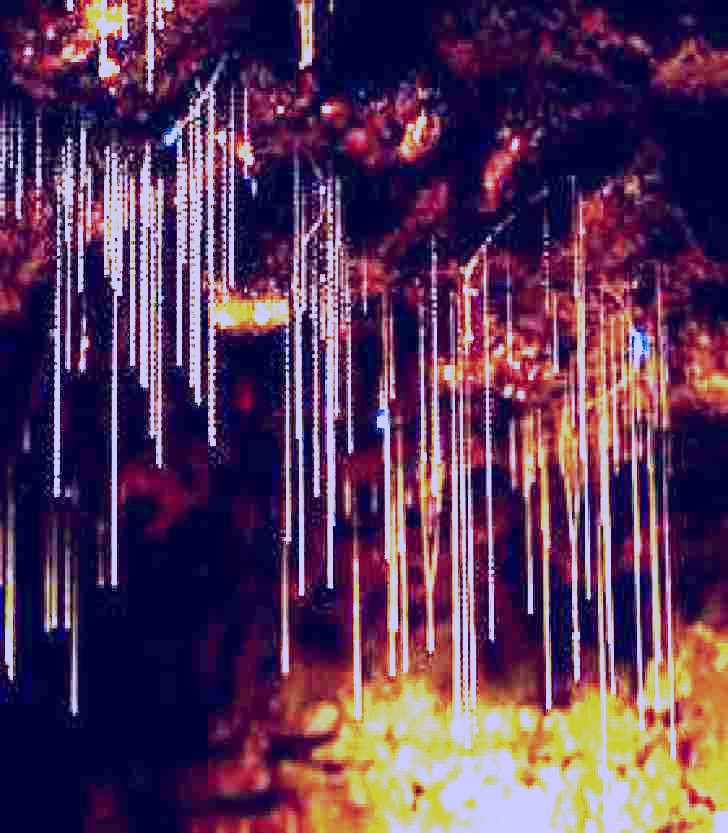 SubjectCoach | Tamborine Mountain Glow Worm Caves