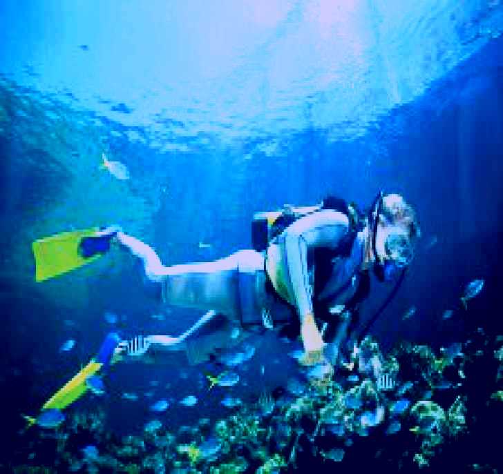 SubjectCoach | Tijou Reef