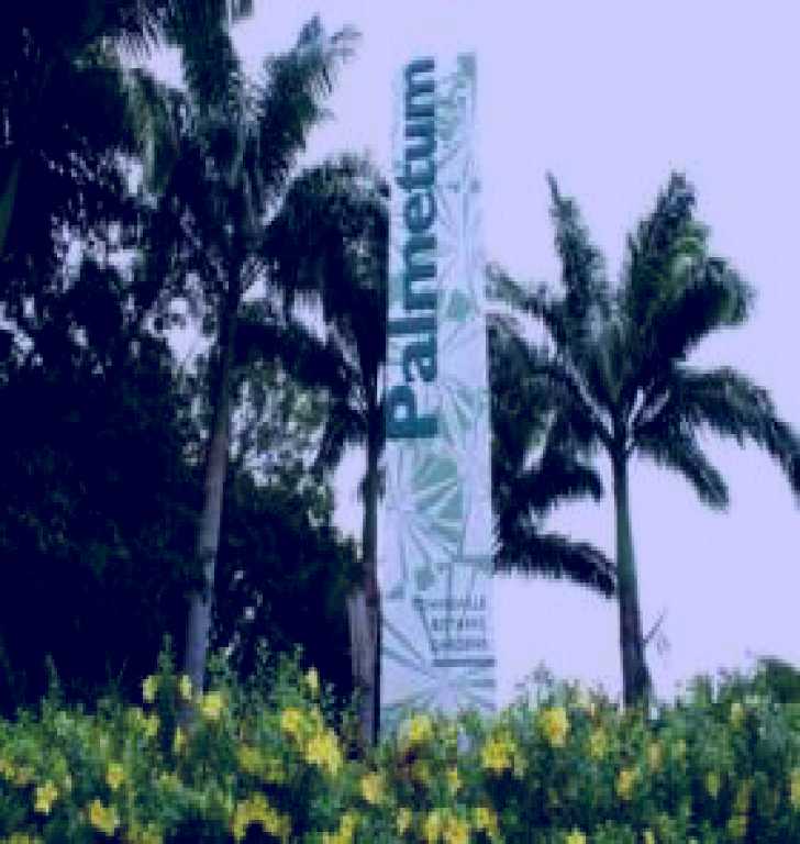 SubjectCoach | Townsville Palmetum