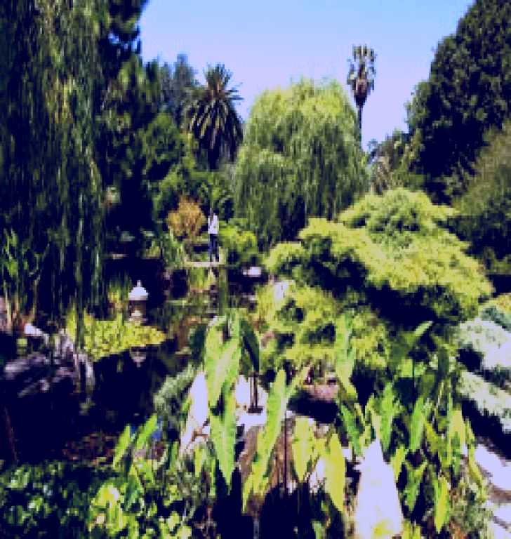 SubjectCoach | Adelaide Himeji Garden