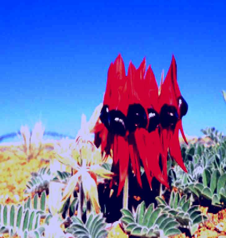 SubjectCoach | Alan Mclellan Lookout