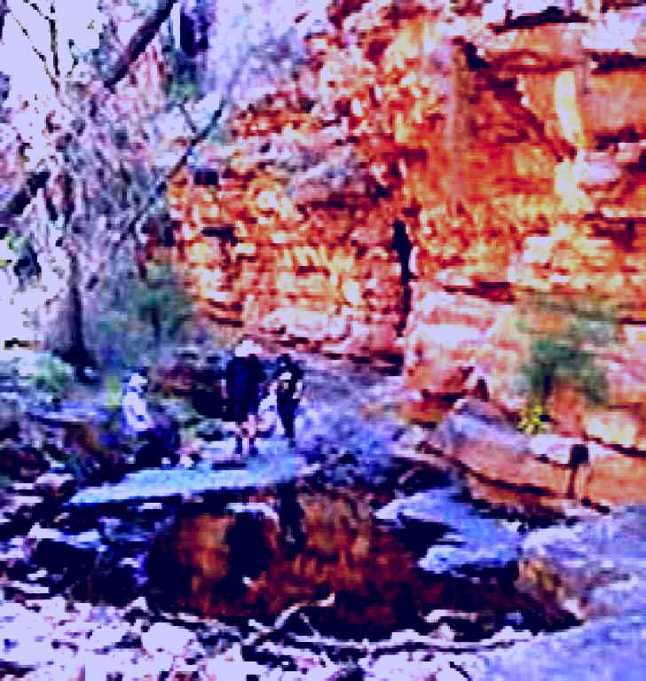 SubjectCoach | Alligator Gorge