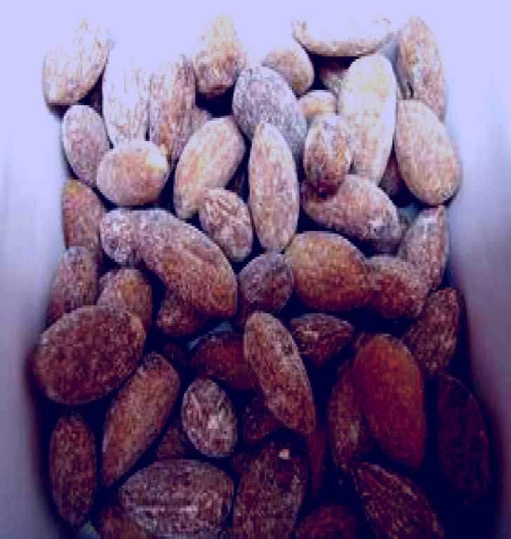 SubjectCoach | Almondco Almond Hut