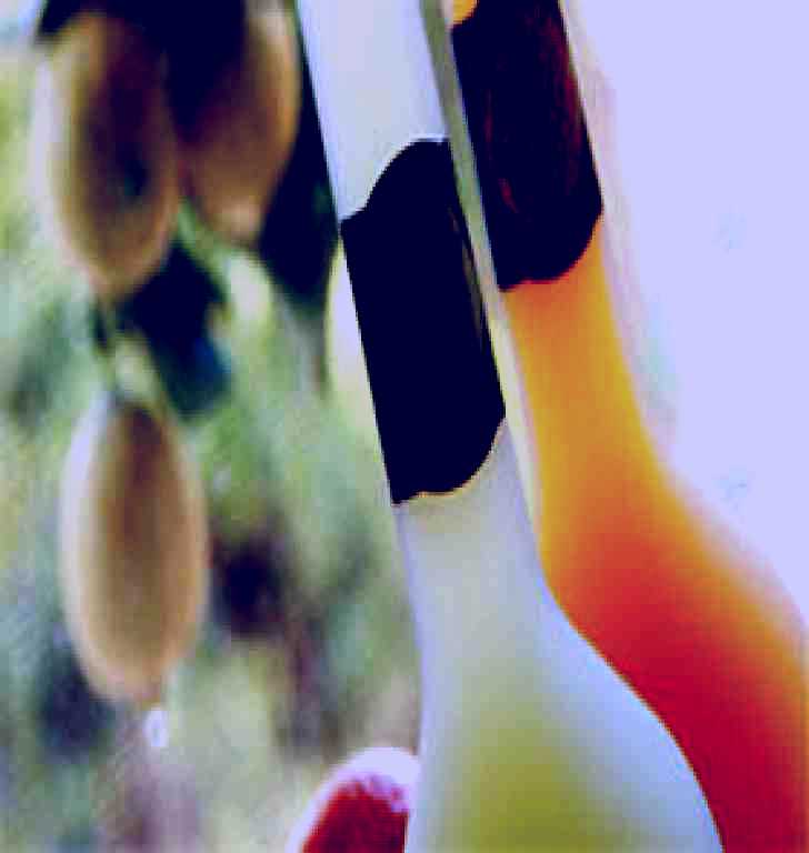 SubjectCoach | Ambra Liqueurs