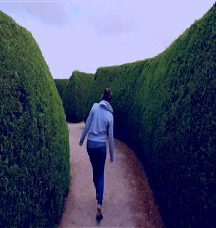 SubjectCoach | Mintaro Maze and Gift Shop