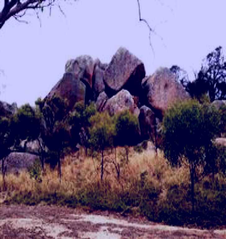 SubjectCoach | Mount Boothby Conservation Park