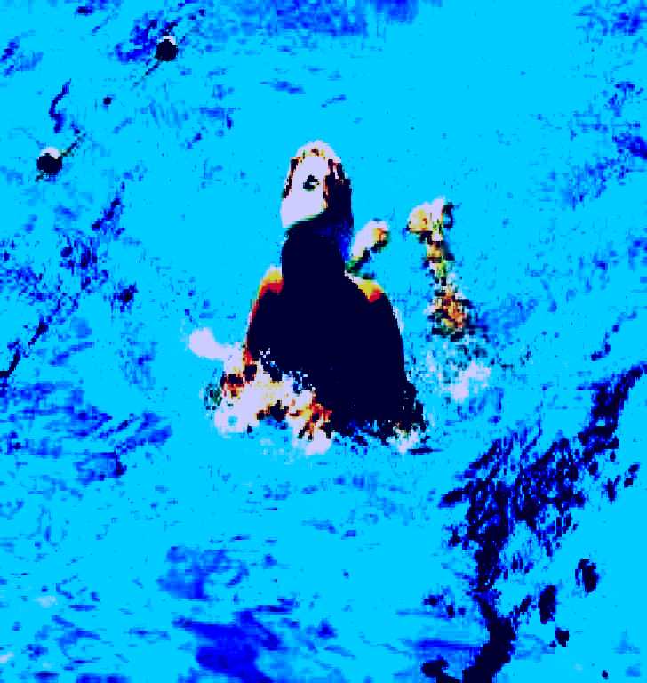 SubjectCoach | Mount Gambier Aquatic Centre