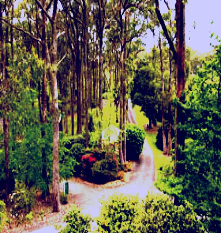 SubjectCoach | Mount Lofty Botanic Garden