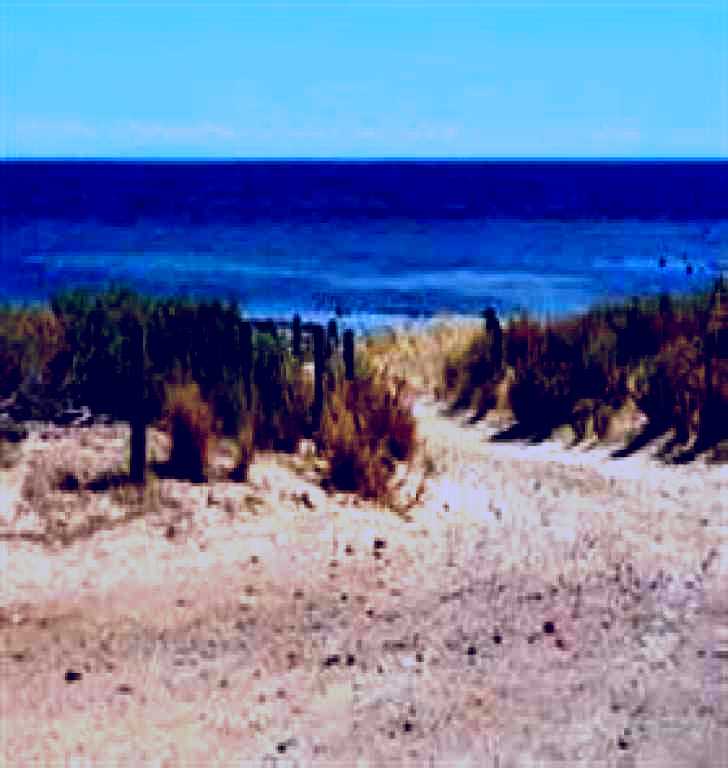 SubjectCoach | Normanville Beach