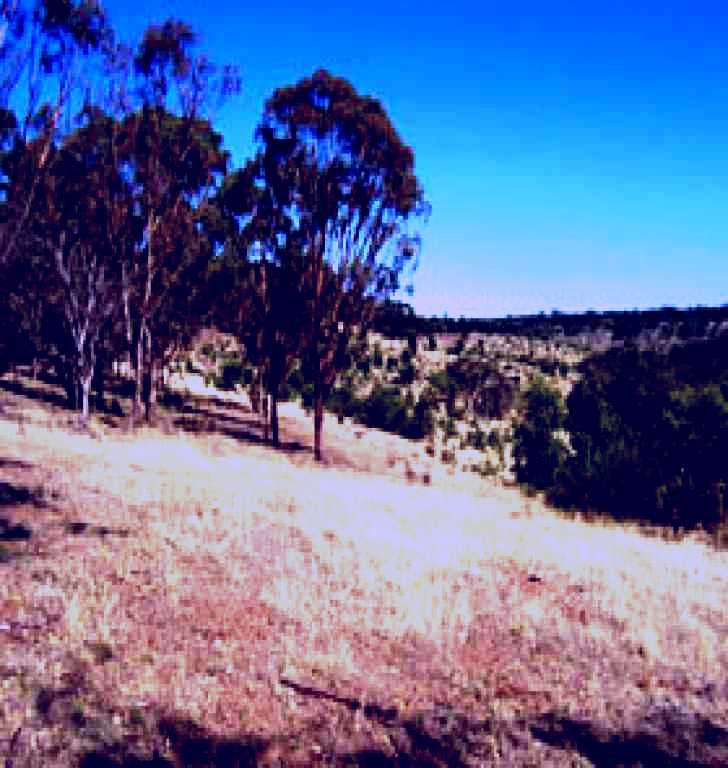 SubjectCoach | Onkaparinga River National Park Image 1