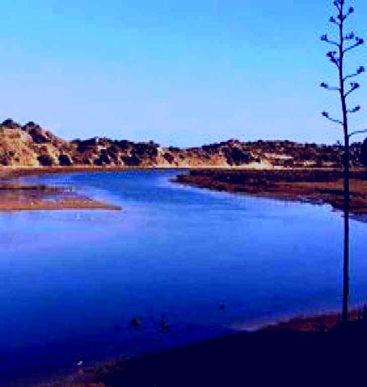 SubjectCoach | Onkaparinga River Recreation Park