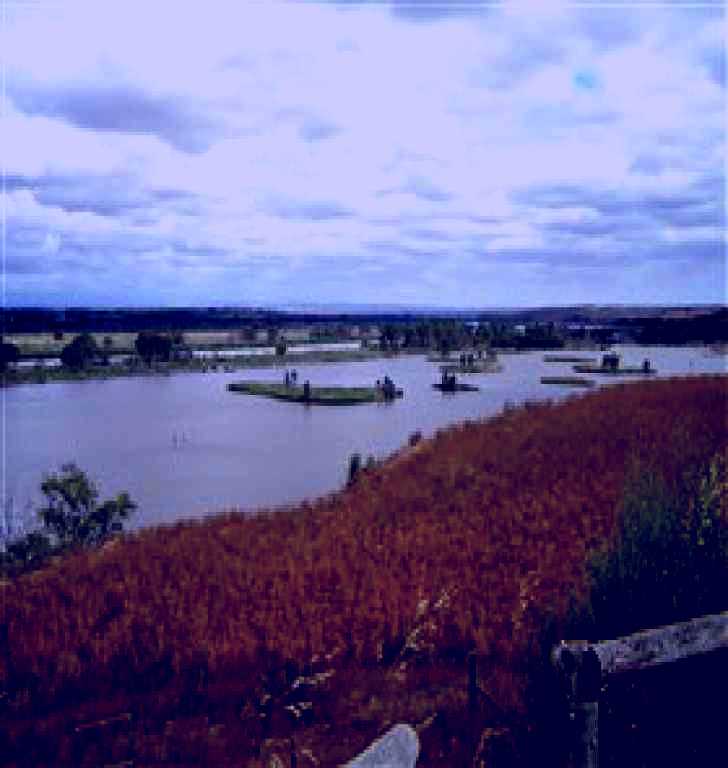 SubjectCoach | Sunnyside Reserve Lookout Image 1