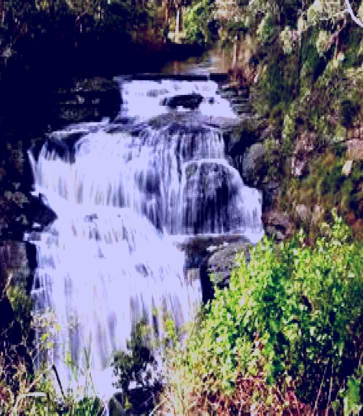 SubjectCoach | Agnes Falls Scenic Reserve