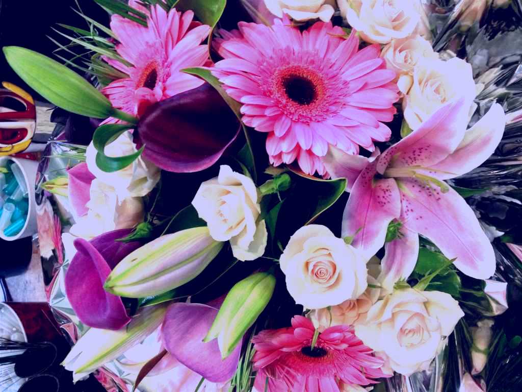SubjectCoach | Alpine Blooms Florist Mansfield