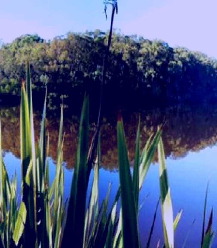 SubjectCoach | Aura Vale Lake Park