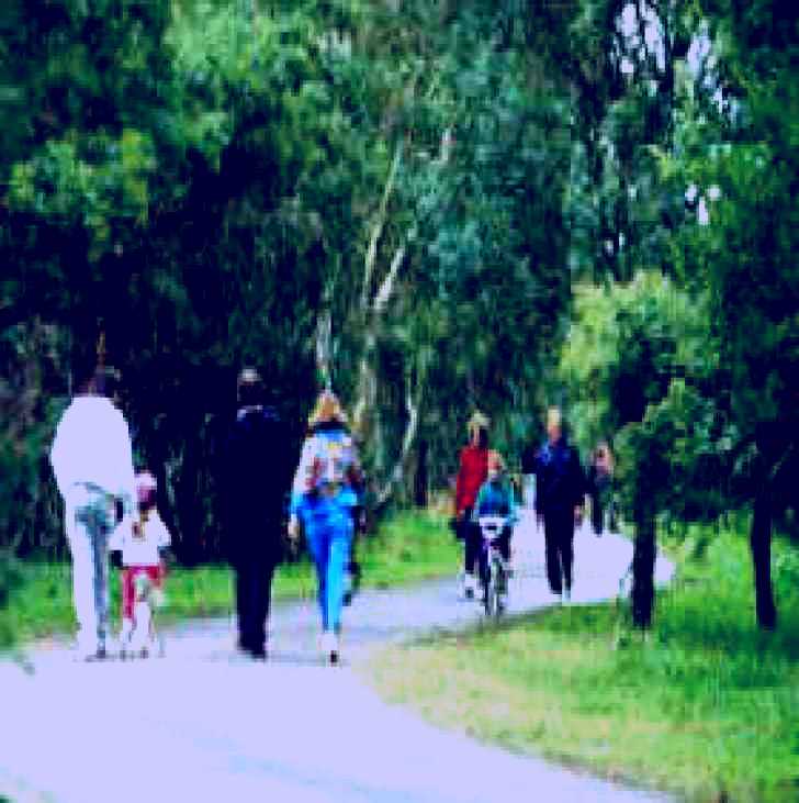 SubjectCoach | Birrarrung Park