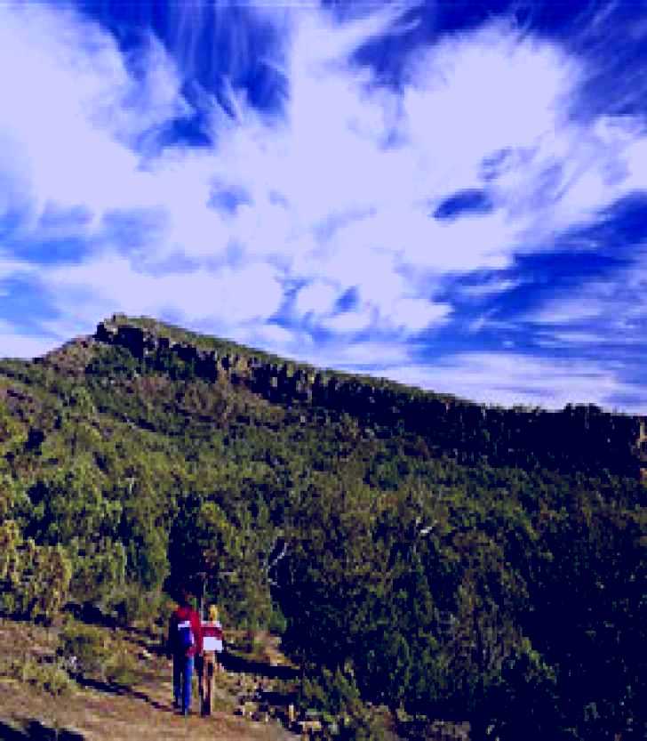 SubjectCoach | Black Range State Park