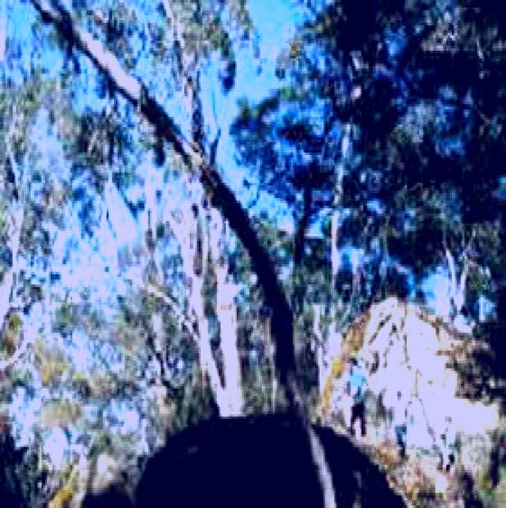 SubjectCoach | Dergholm State Park