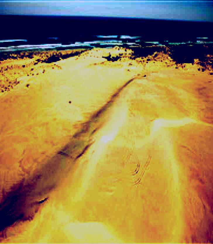 SubjectCoach | Discovery Bay Coastal Park