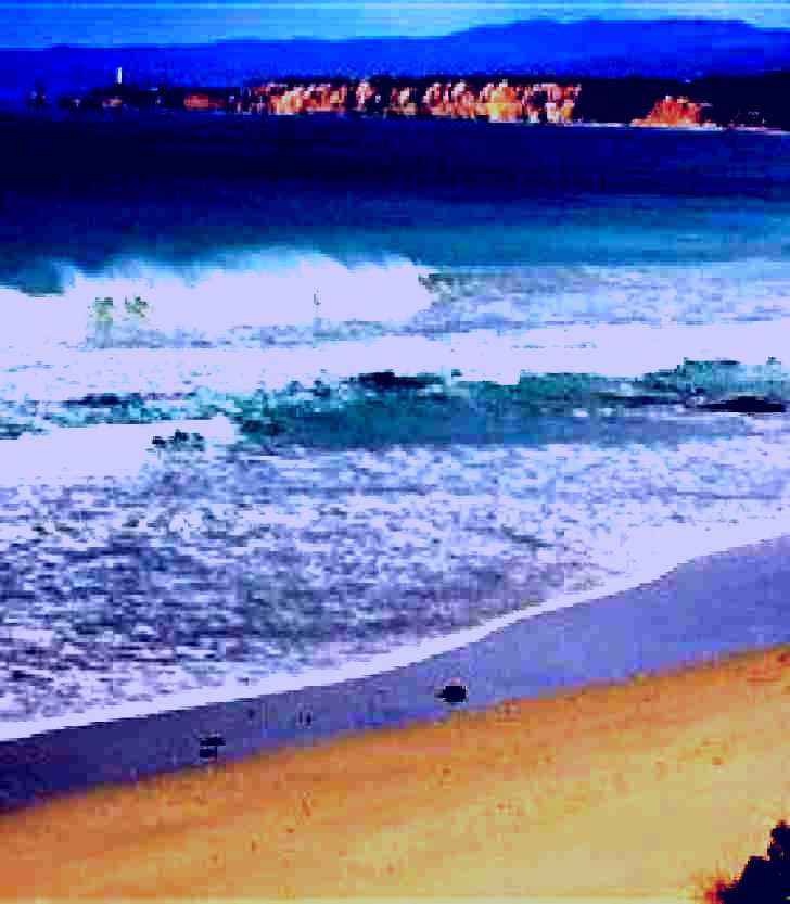 SubjectCoach | Lorne Girl
