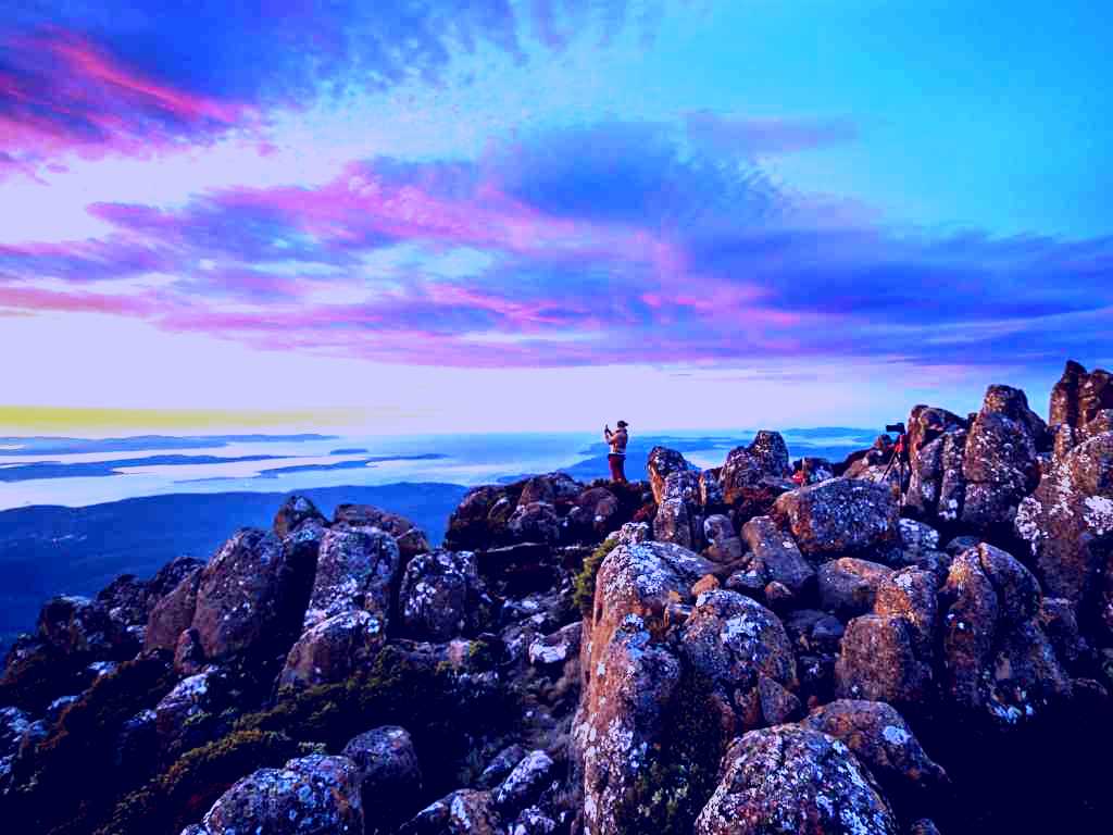 SubjectCoach | Wellington Park - Mt Wellington