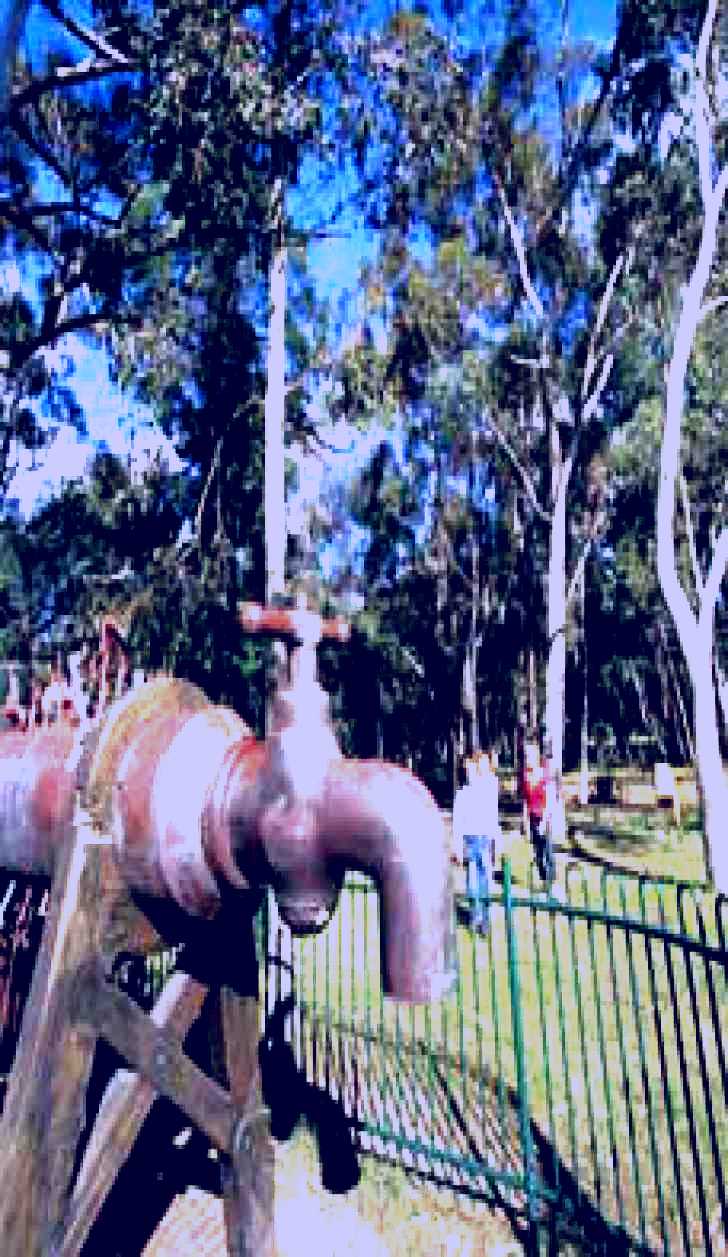SubjectCoach | Mundaring Community Sculpture Park