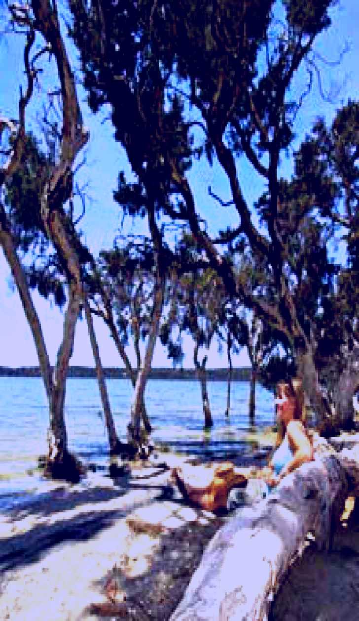 SubjectCoach | Stokes National Park Image 1